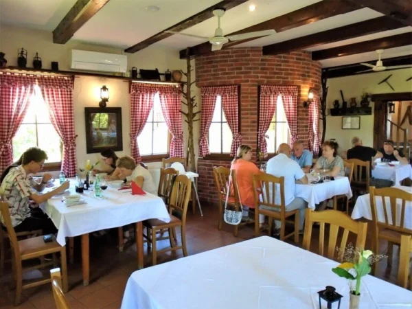 Hospitality Assistant – Hotel & Restaurant